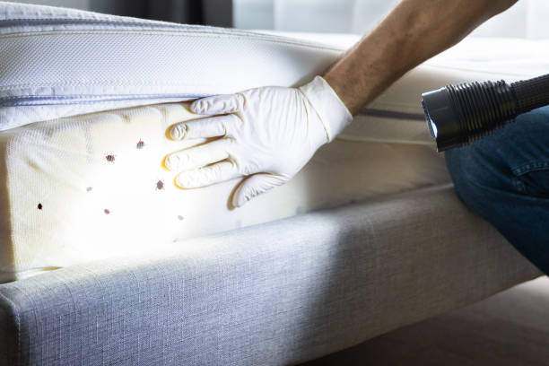 Best Exterminator Services  in Portland, IN