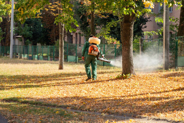 Trusted Portland, IN Pest Control Experts